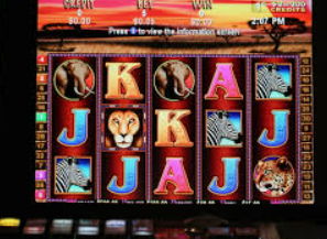 摇钱树捕鱼下载免费版